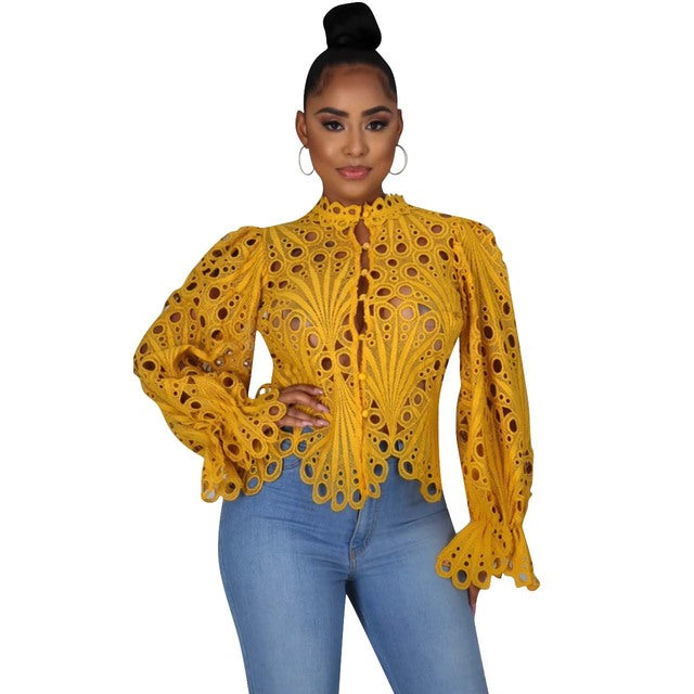 Womens Elegant Long Sleeve Hollow Cut Out Mesh Lace Shirt